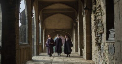 Dominic McLaughlin, Alastair Stout, and Arabella Stanton as Harry, Ron, and Hermione in HBO's Harry Potter series