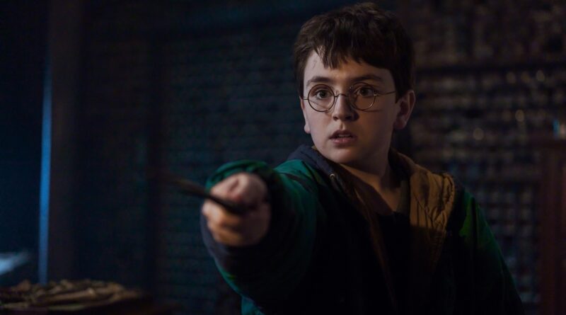 Dominic McLaughlin as Harry Potter in HBO's Harry Potter and the Philosopher's Stone