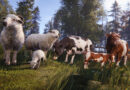 Sheep, a lamb, cows and a calf grazing on a grassy field in Rust's Livestock update