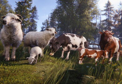 Sheep, a lamb, cows and a calf grazing on a grassy field in Rust's Livestock update