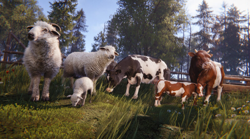 Sheep, a lamb, cows and a calf grazing on a grassy field in Rust's Livestock update