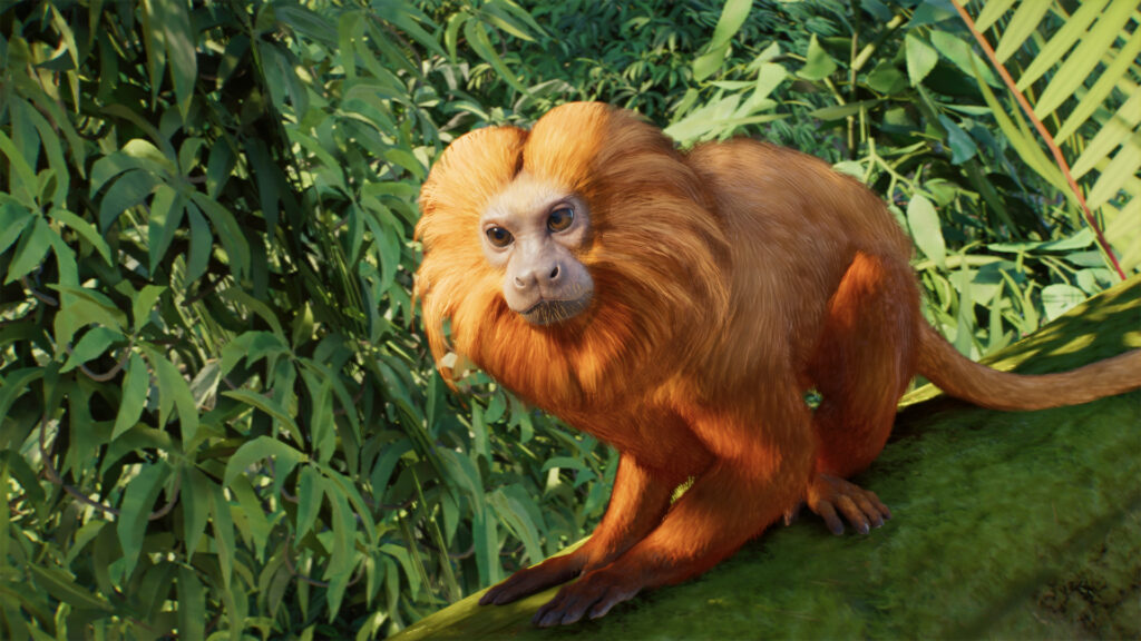 Planet Zoo 2 Deluxe Edition animal golden lion tamarin