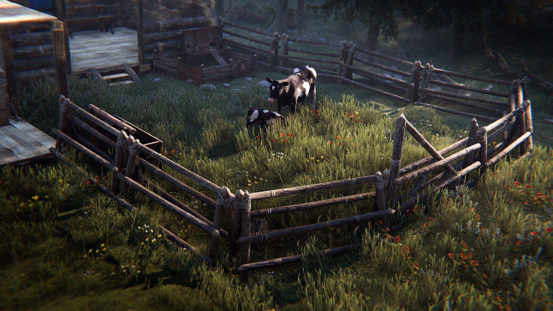 A cow and a calf inside a wooden animal fence pen in Rust