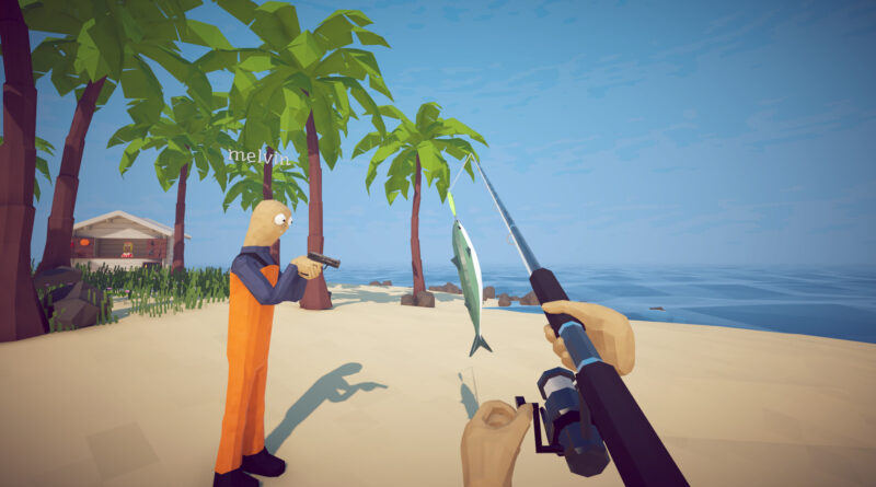 How to Fish co-op gameplay